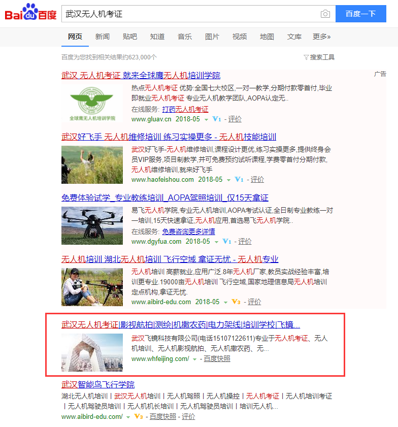 武漢無人機考證